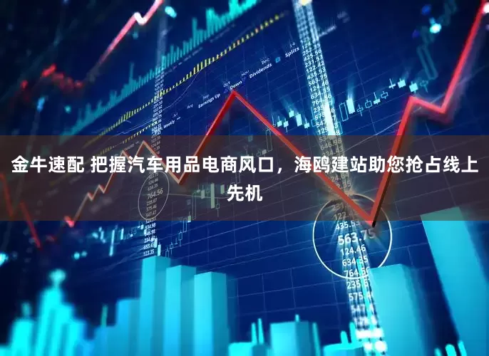 金牛速配 把握汽车用品电商风口，海鸥建站助您抢占线上先机